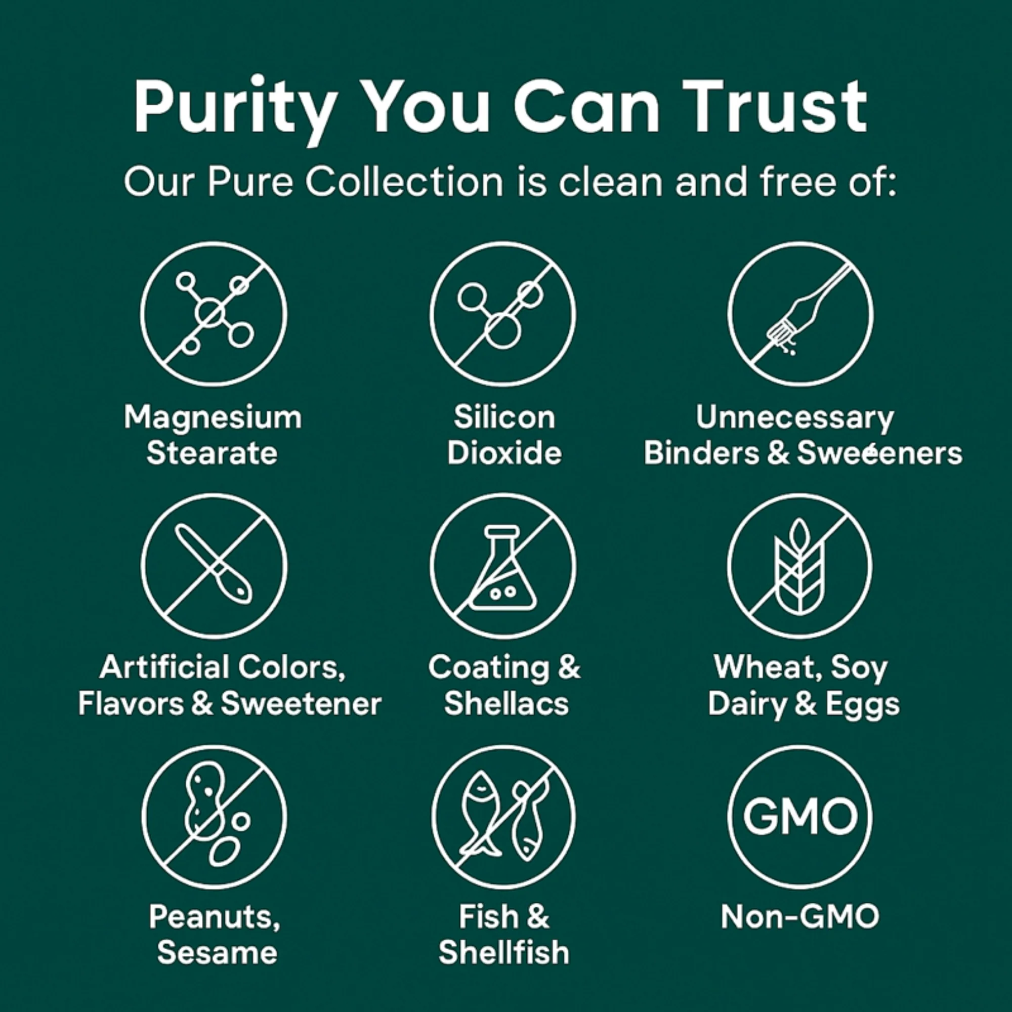 Turmeric Curcumin Capsules (1,000mg) - Image 7